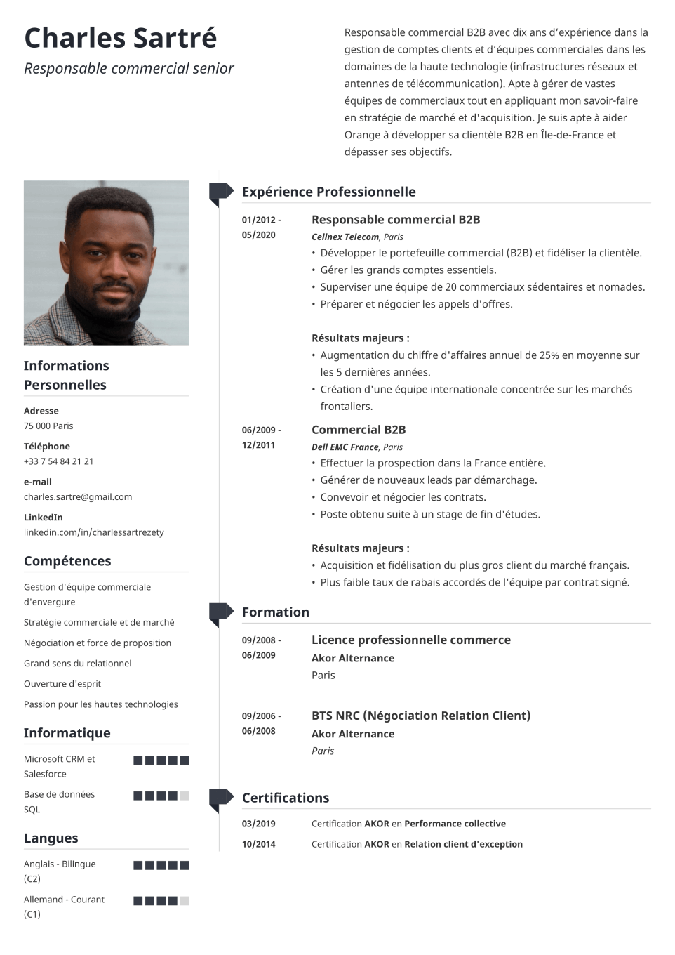 Modèle de CV professionnel